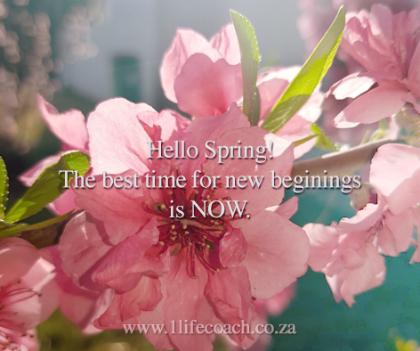 A fresh Star and New beginnings