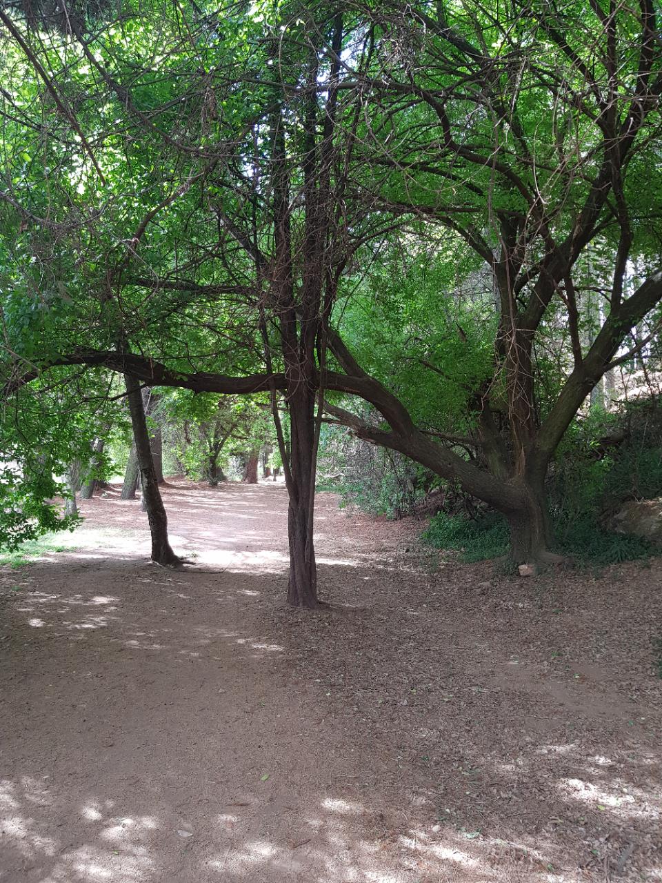 Gateways of opportunity when feeling anxious, stressed or stuck