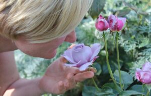 pause - smell the roses
